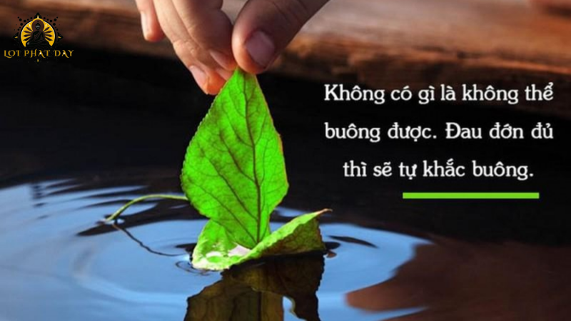 lời phật dạy về cuộc sống an nhiên