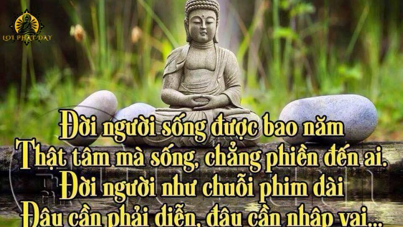 lời phật dạy về cuộc sống an nhiên