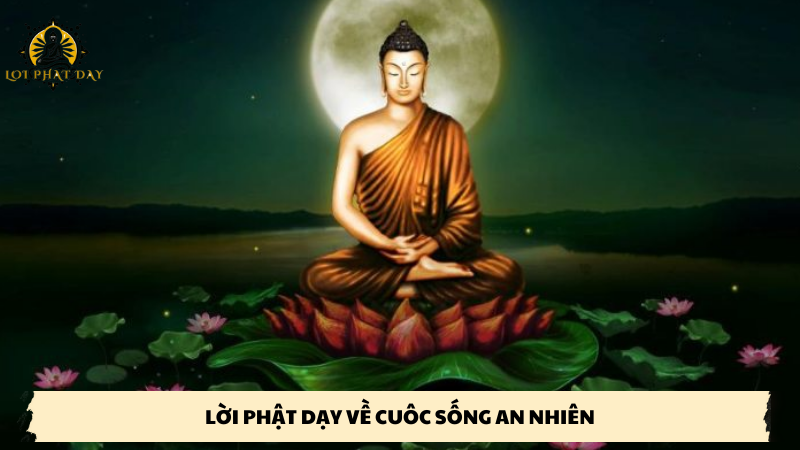 lời phật dạy về cuộc sống an nhiên