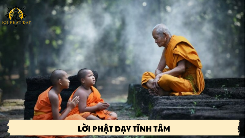 lời phật dạy tĩnh tâm