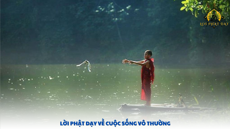 Lời Phật dạy về cuộc sống vô thường