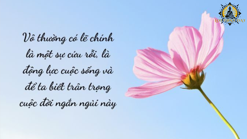 Lời Phật dạy về cuộc sống vô thường